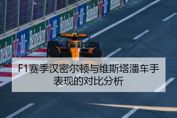 F1赛季汉密尔顿与维斯塔潘车手表现的对比分析
